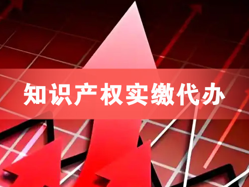 南阳知识产权实缴资本代办